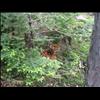 IMG_6849
20/06/2004 4:40:39 PM